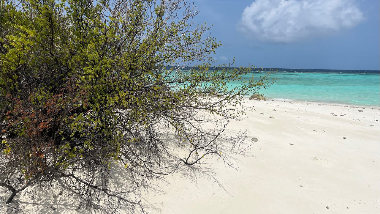 Viaggio alle Maldive-Nakai Maayafushi resort