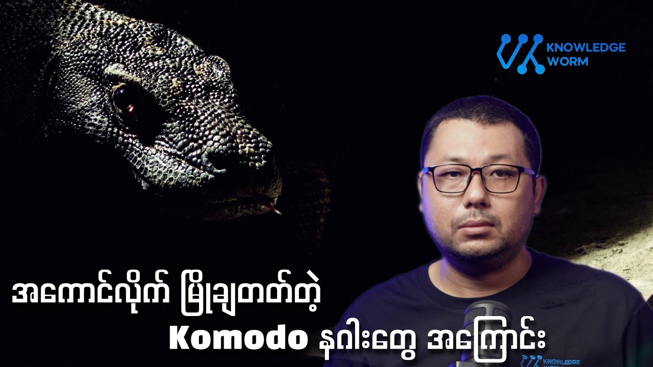 Komodo Dragon တွေအကြောင်း တစေ့တစောင်း