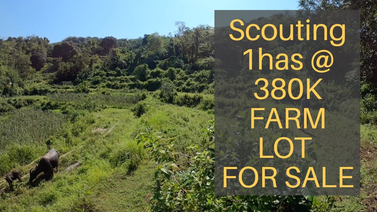 CASILAGAN FARM LOT, Naguilian, La Union (Scouting) 1has @ 380K