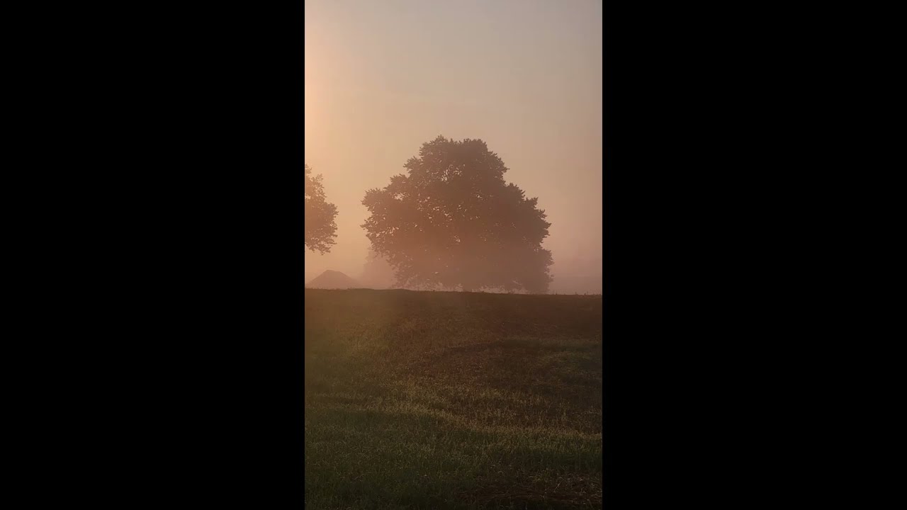 Summertime, Northern Indiana