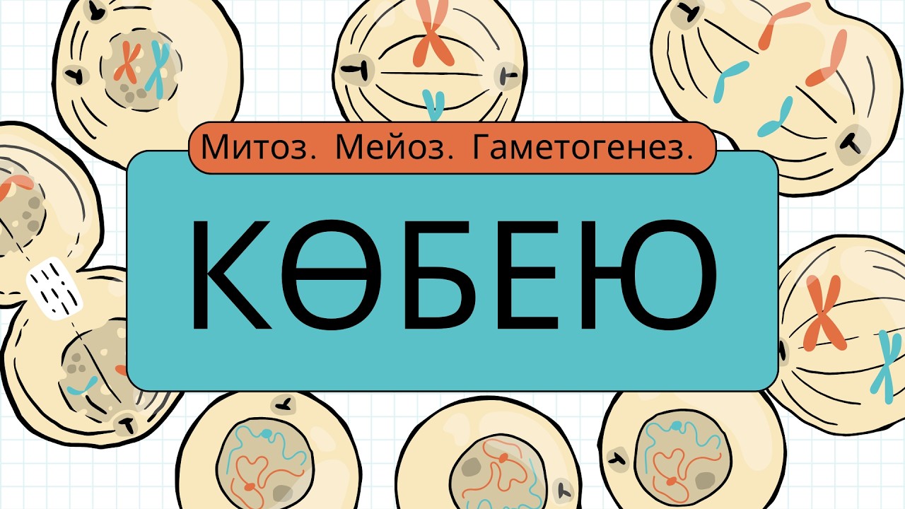 БИОЛОГИЯДАН ТЕСТ ТАЛДАУ - 41 (КӨБЕЮ 2-бөлім)