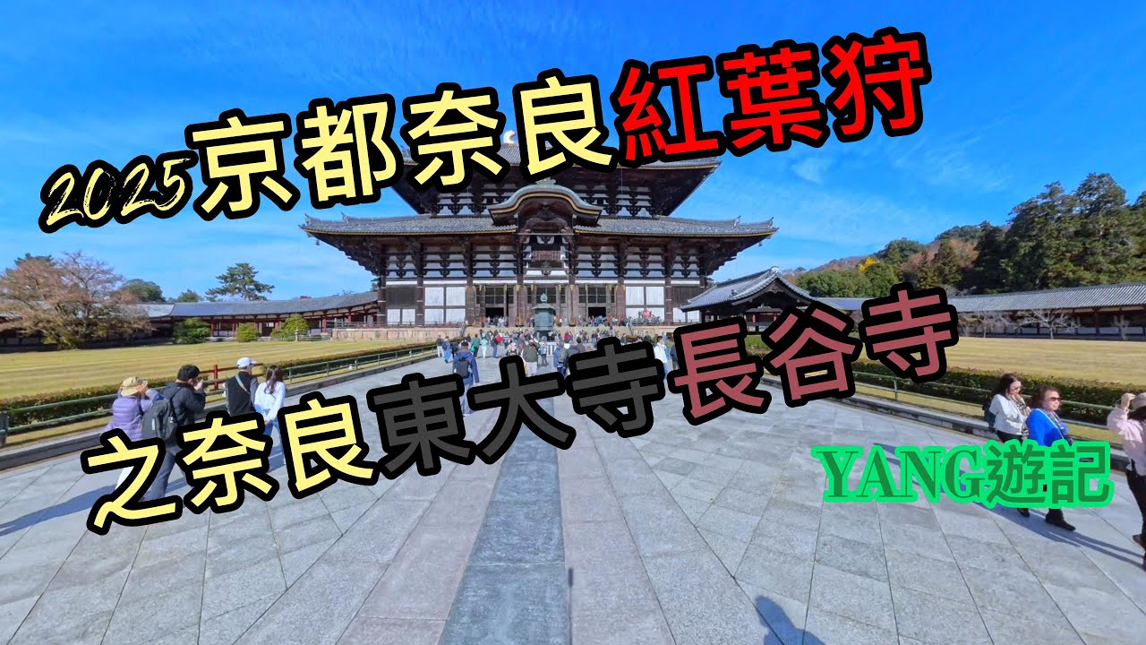 2025京都奈良紅葉狩之奈良東大寺長谷寺