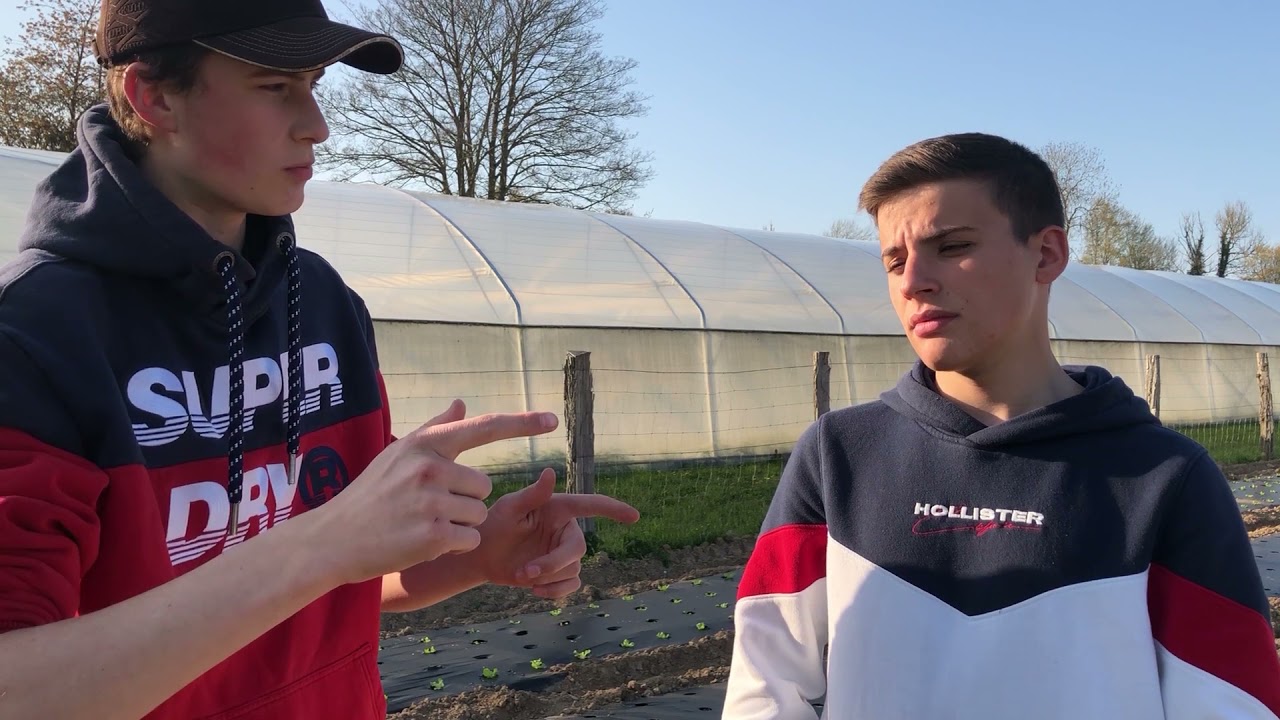 PLAPEI TV : COMMENT ÇA MARCHE LES PRODUCTEURS LOCAUX ?