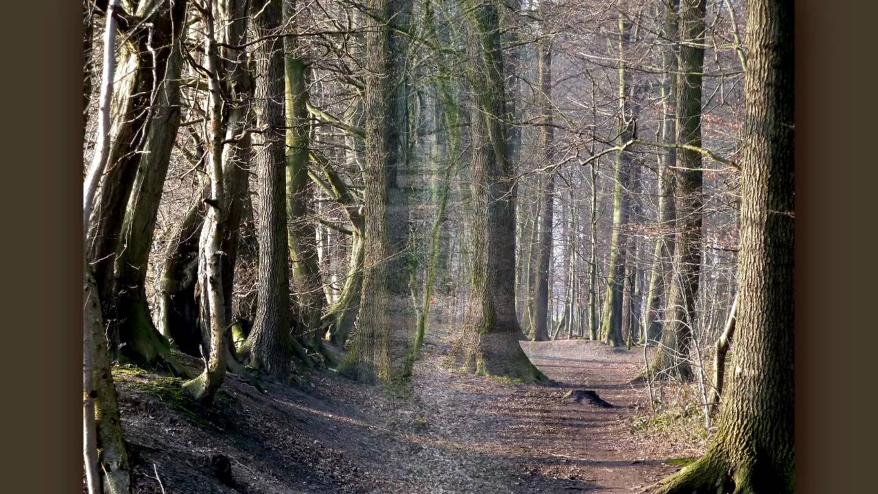 Feld, Wald, Wiese