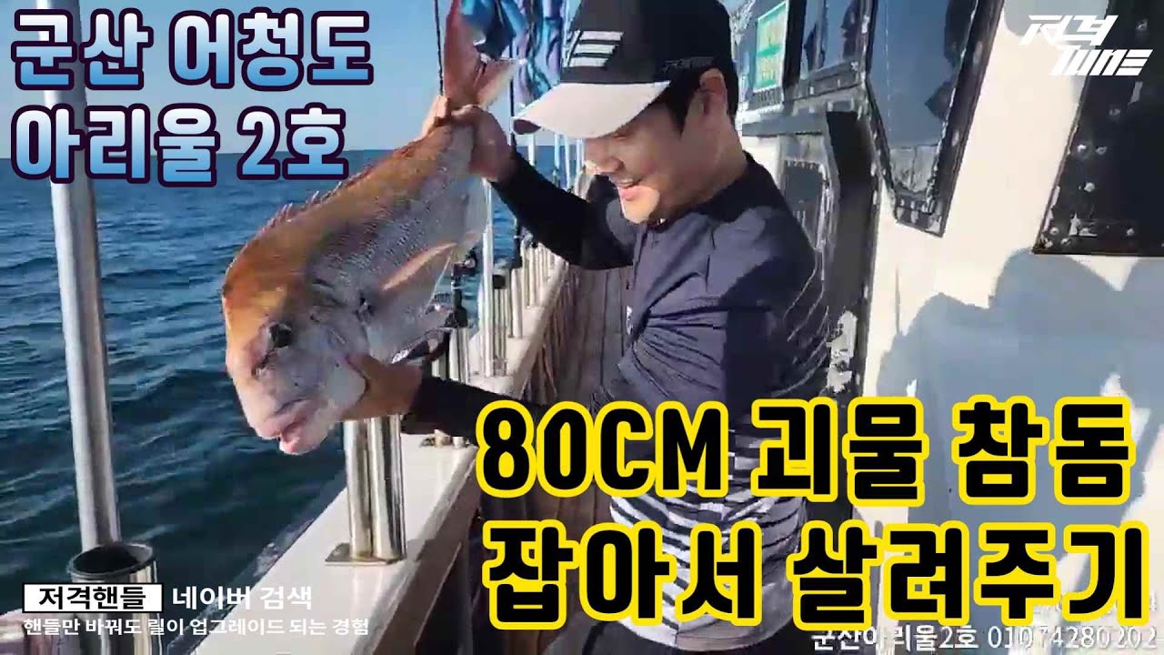 [군산타이라바] 드렉을 부셔버리는 대물 참돔!  #타이라바 #아리울호 #참돔낚시  #fishing
