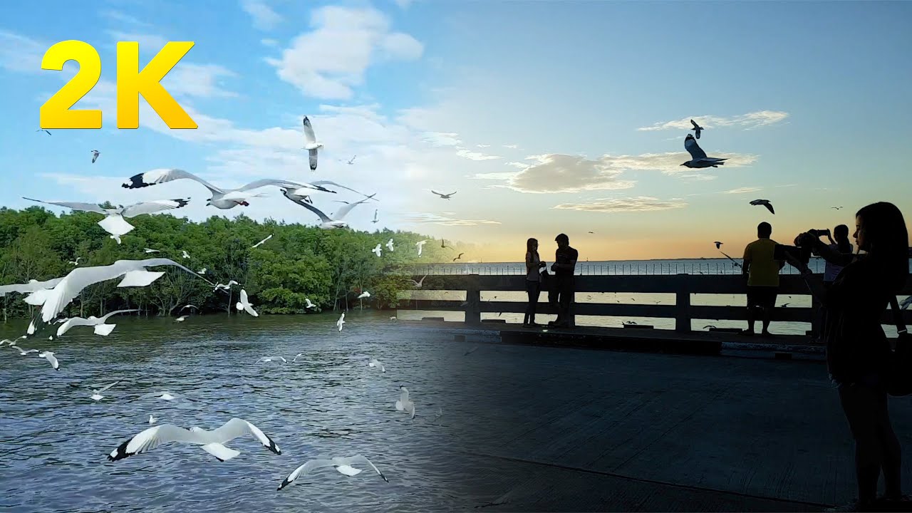 [2K] Walking BangPu Recreation Center(Sukta Bridge,  Mangrove) / Samut Prakan