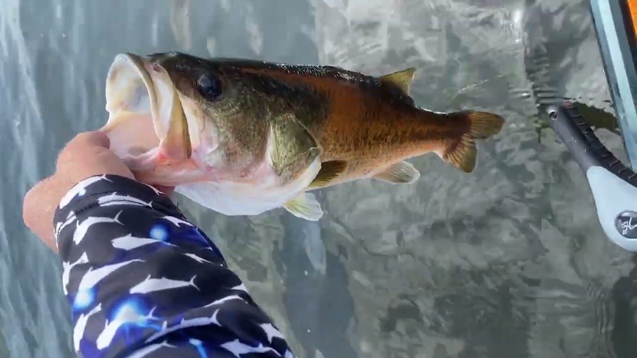 Lake Gilmer May Be The Best Lake In East Texas