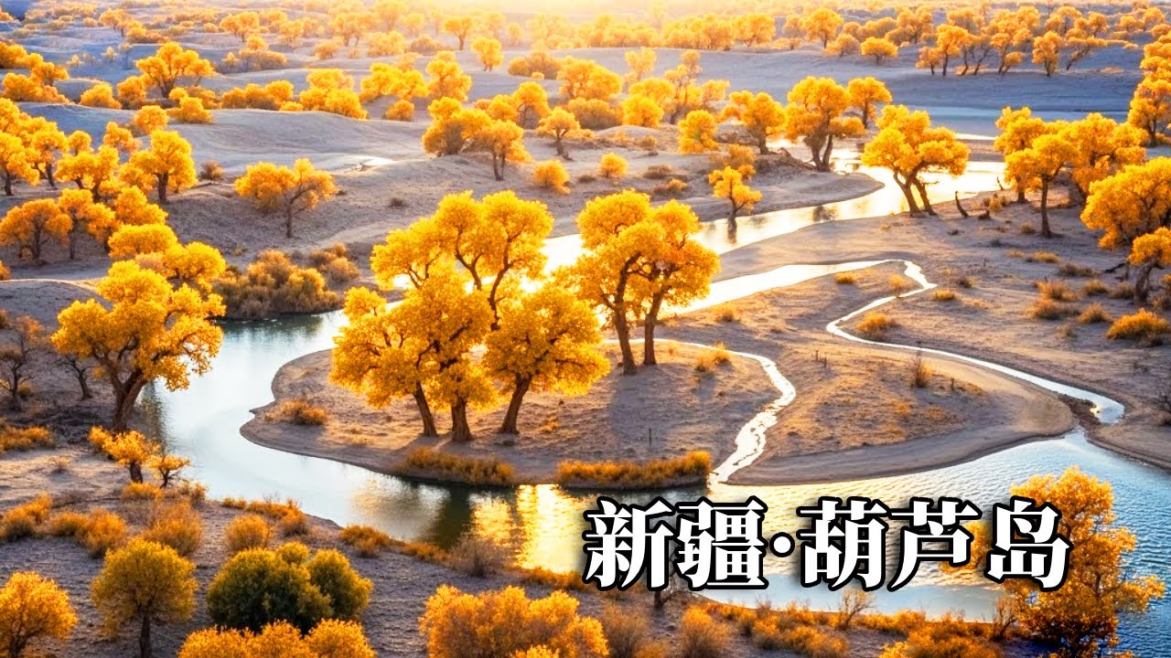 中国胡杨林秋景的天花板！南疆里的璀璨明珠葫芦岛，美得让人无法呼吸【行走世界的北京老刘】