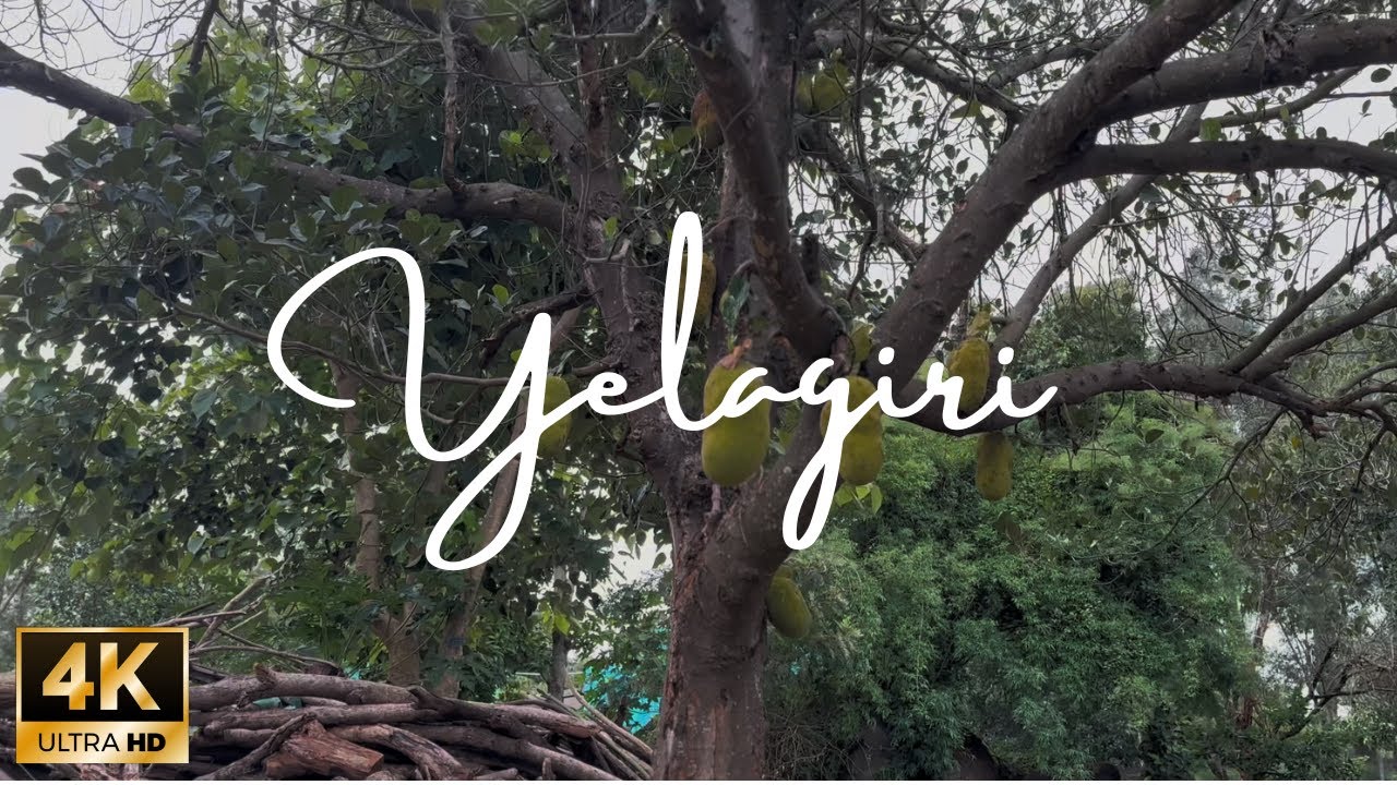 Morning Serenity: Walking the Streets of Yelagiri, Tamil Nadu | Ambient Soundscape