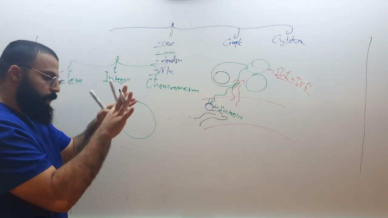 immunology  | innate immunety | part 4; last part