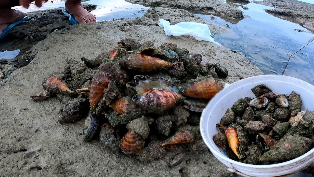 Tara manginhas ta!, Ang laki nang mga aninikad ang nag  silabasan ngayun
