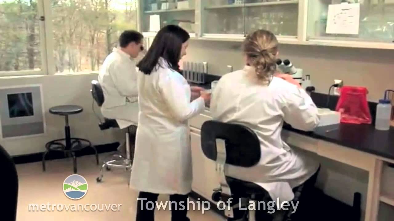 Township of Langley Profile