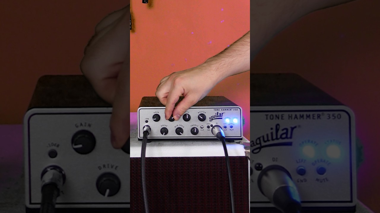 Get Les Claypool's bass tone in 30 seconds #bass #primus #lesclaypool