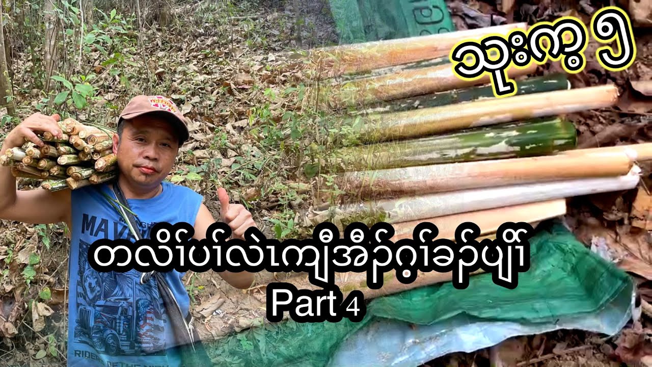 တလိၢ်ပၢ်လဲၤကျီအီၣ်ဂ့ၢ်ခၣ်ပျိၢ်Part 4   24/2/2026