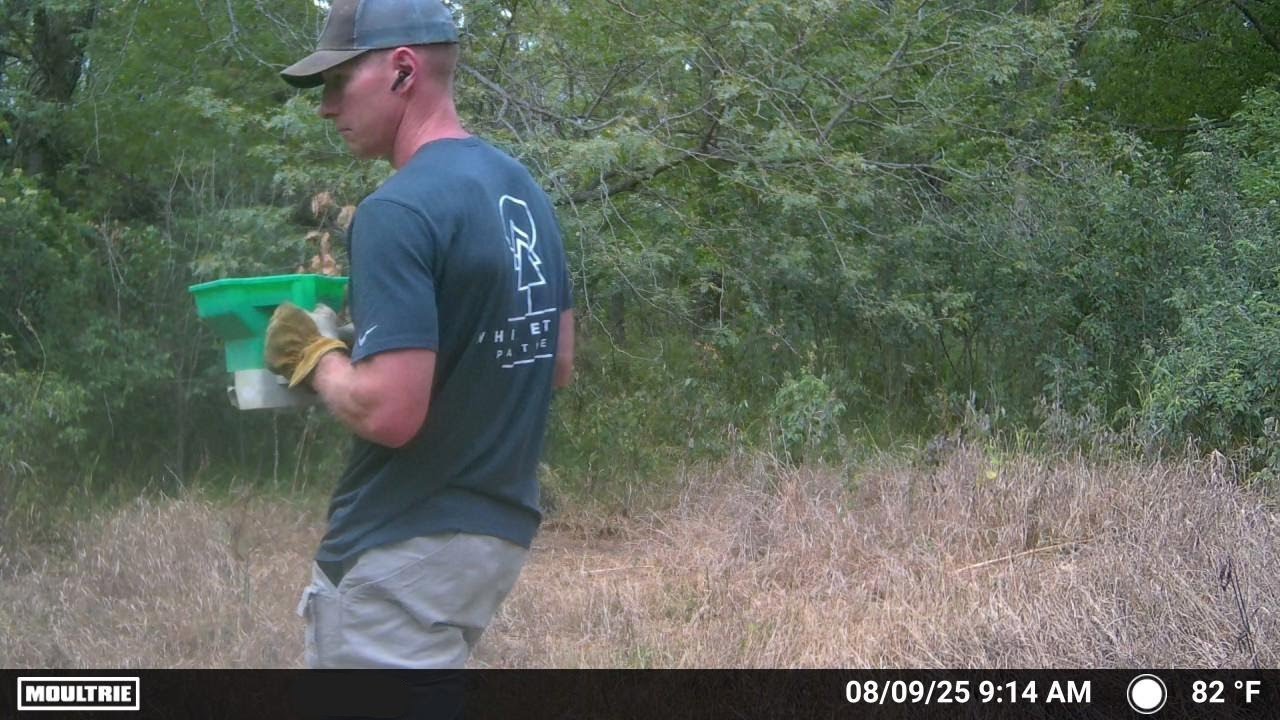 August Scrapes and Early Fall Plots