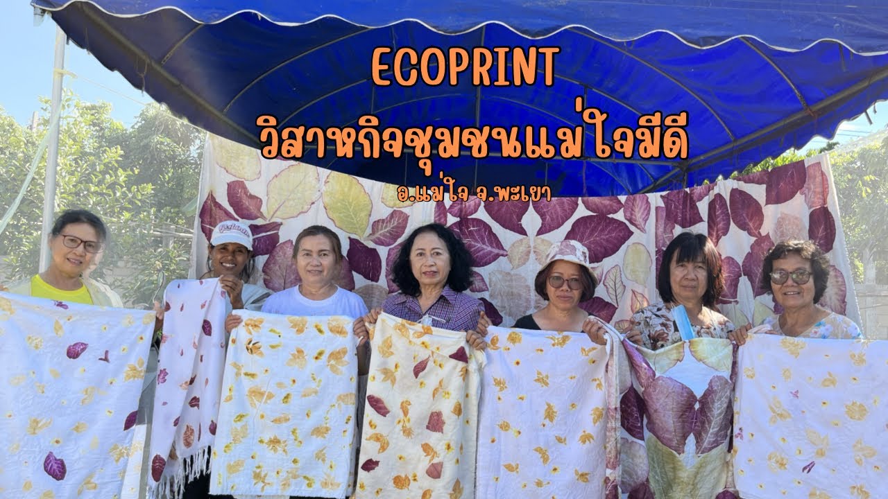 Ecoprint วิสาหกิจชุมชนแม่ใจมีดี ที่ทำจากใบไม้ธรรมชาติ อ.แม่ใจ จ.พะเยา