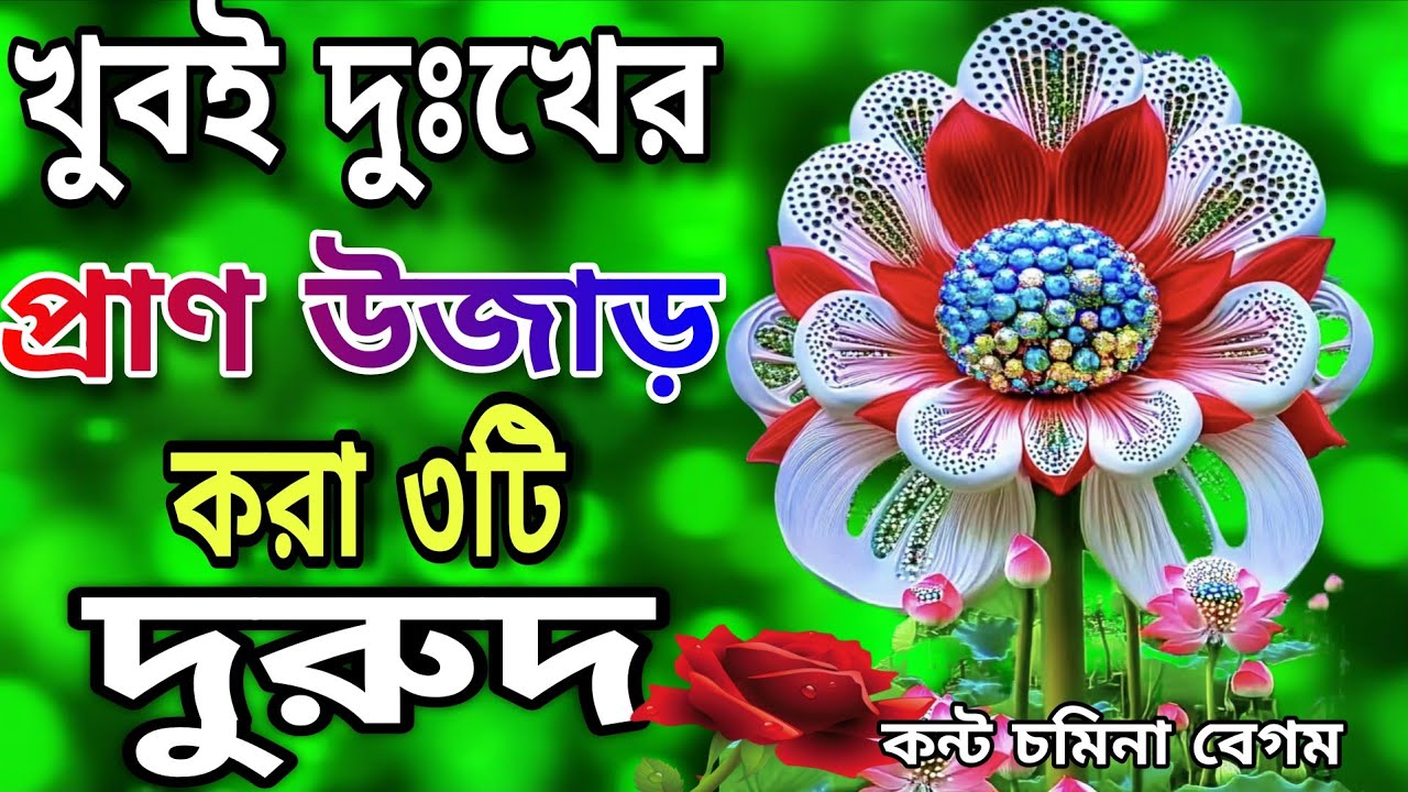 খুবই দুঃখের প্রাণ উজাড় করা সেরা সুমধুর কণ্ঠে ৩টি দুরুদ শরীফ // Somina Begum // New hart durud sorif 