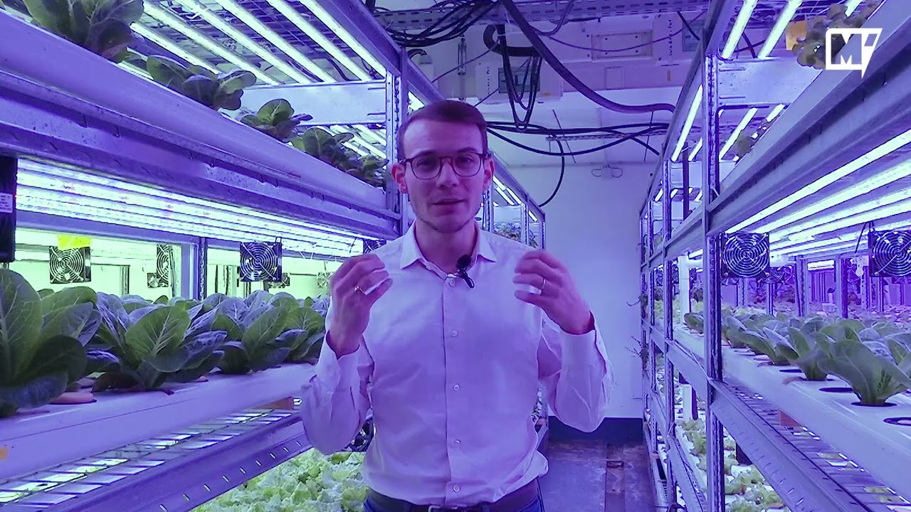 On vous fait visiter la ferme bioponique de Champerché