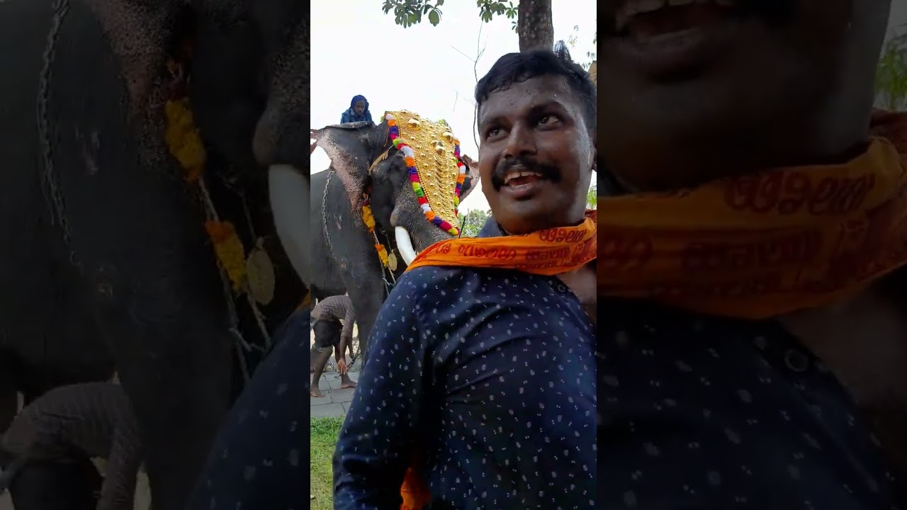 ഇടനാട്ടുകാവിൽ വന്ന കുളമാക്കൽ പാർസസാരഥി