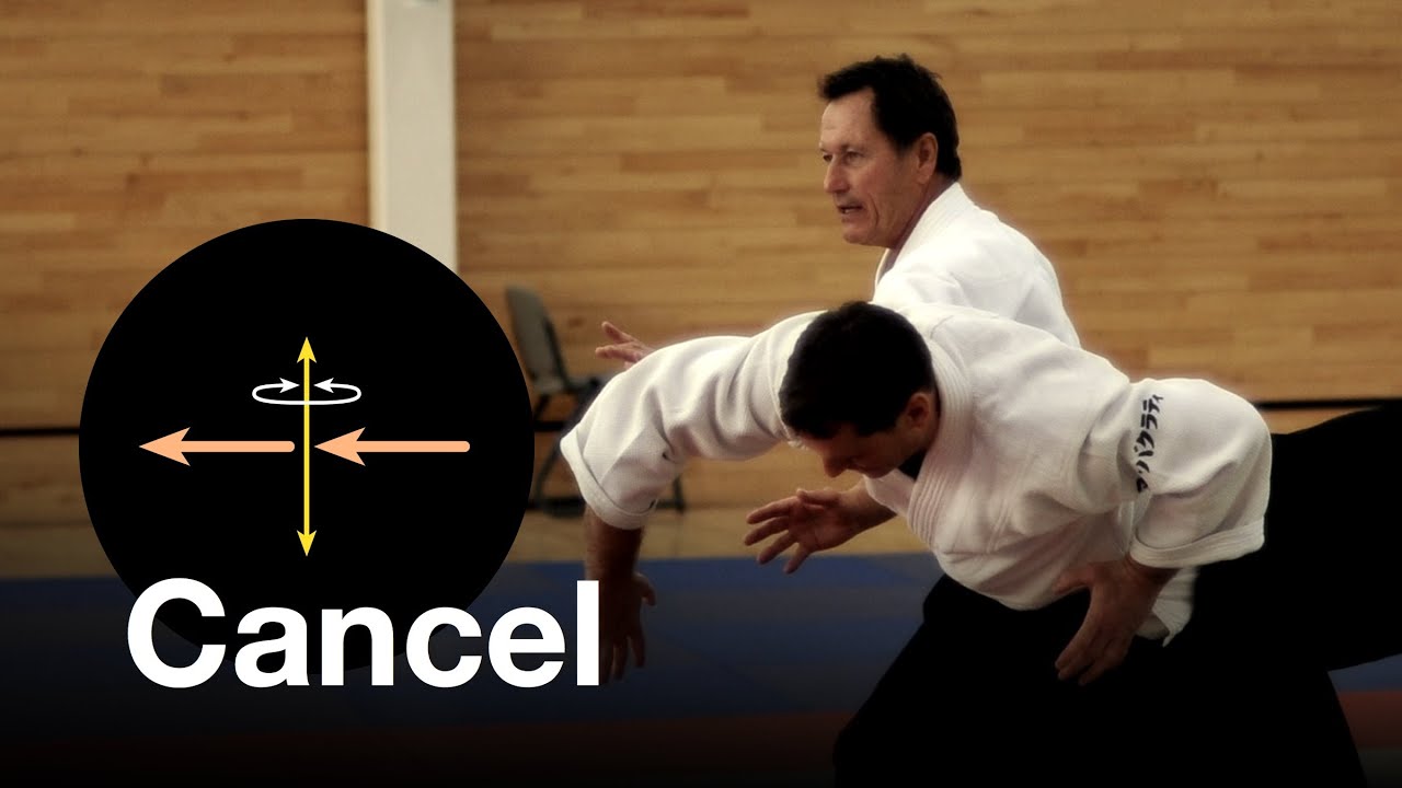 Aikido: 