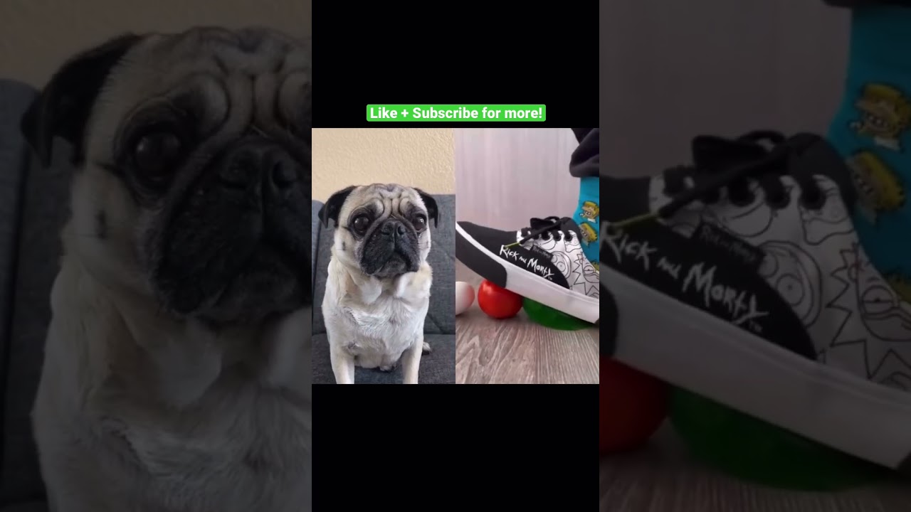 Reacting to this guy stepping on random objects part 2 #shorts