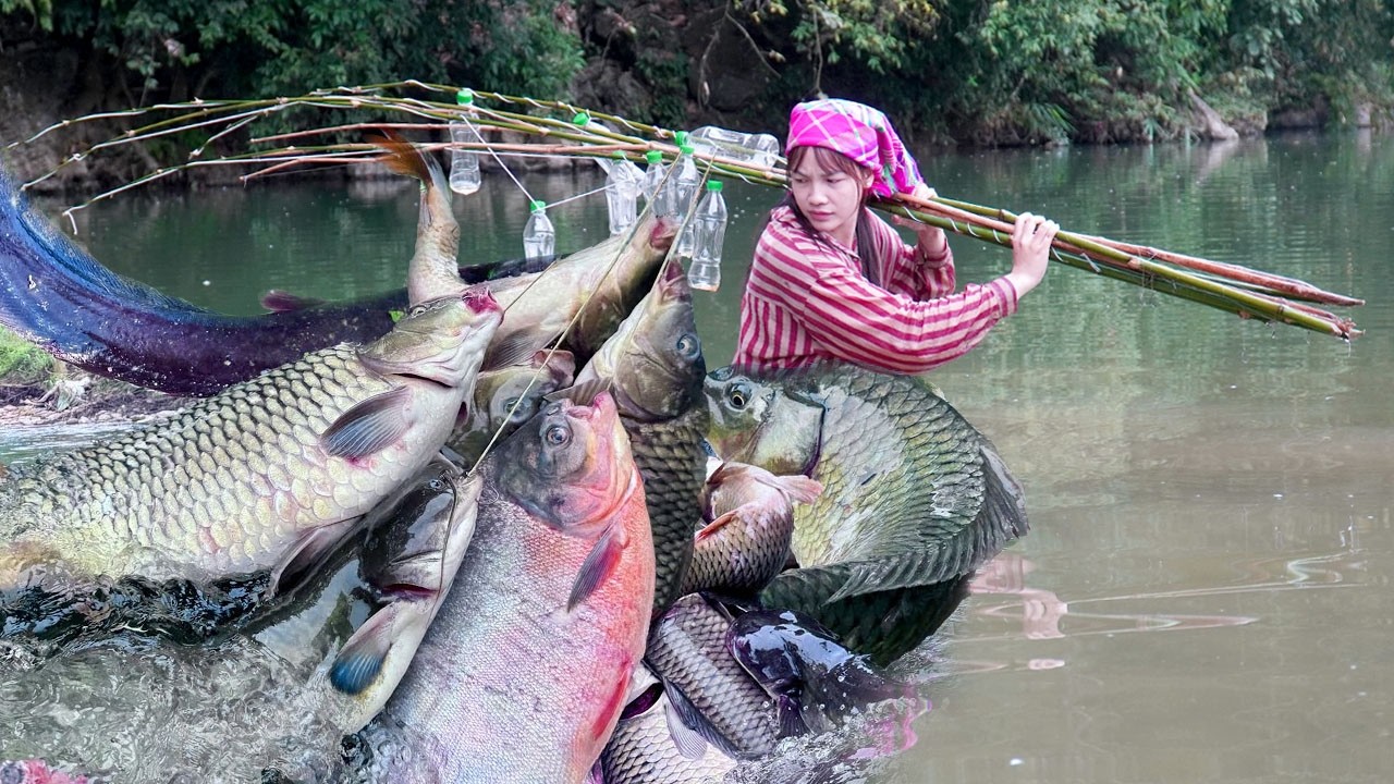 Traditional fishing technique using plastic bottles - Poor girl catches huge school of fish to sell