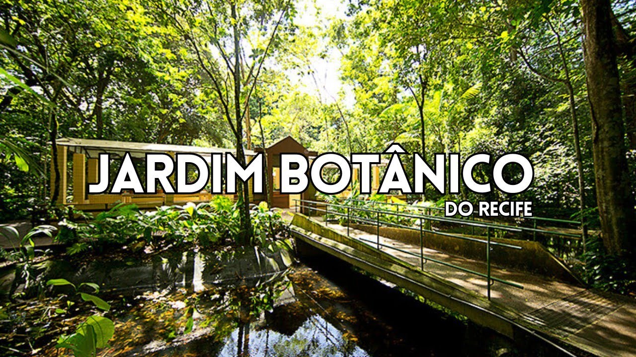 Esse é o Jardim Botânico do RECIFE