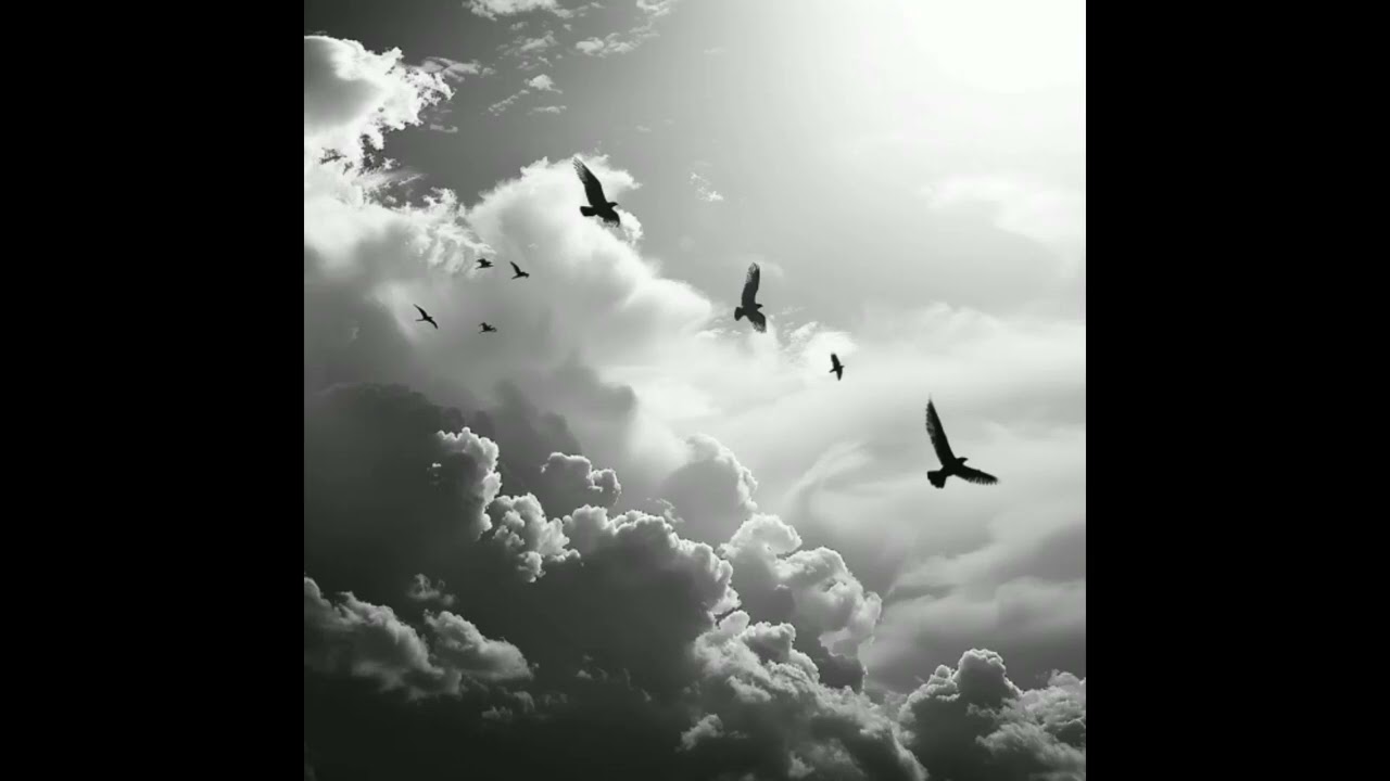 (FREE) 