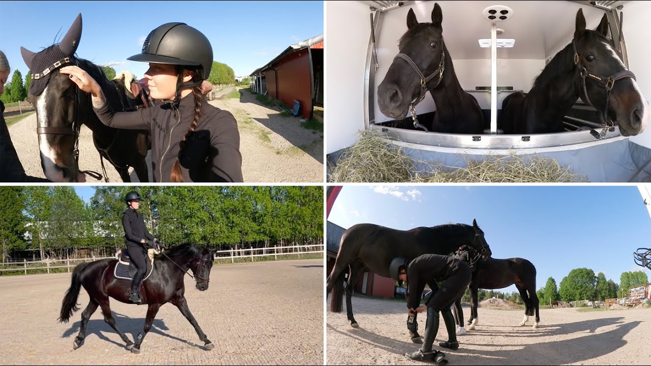 PÅ UTFLYKT MED HÄSTARNA