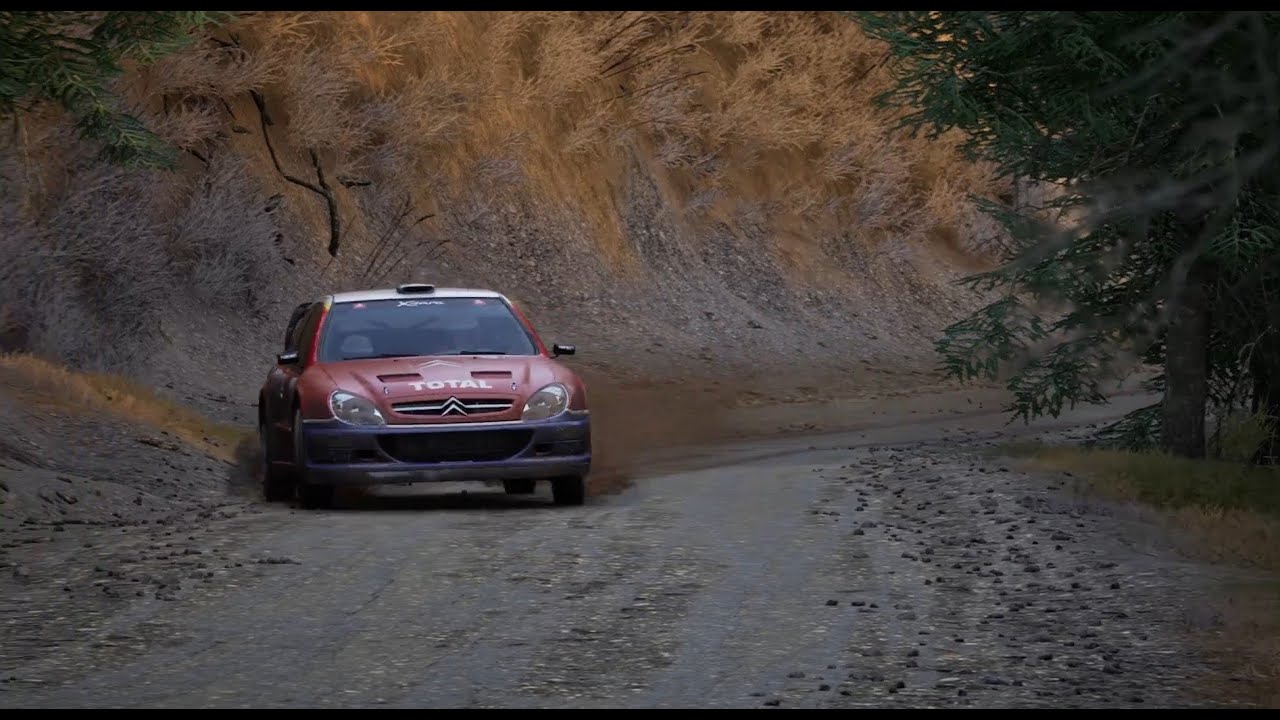 Assetto Corsa Rally