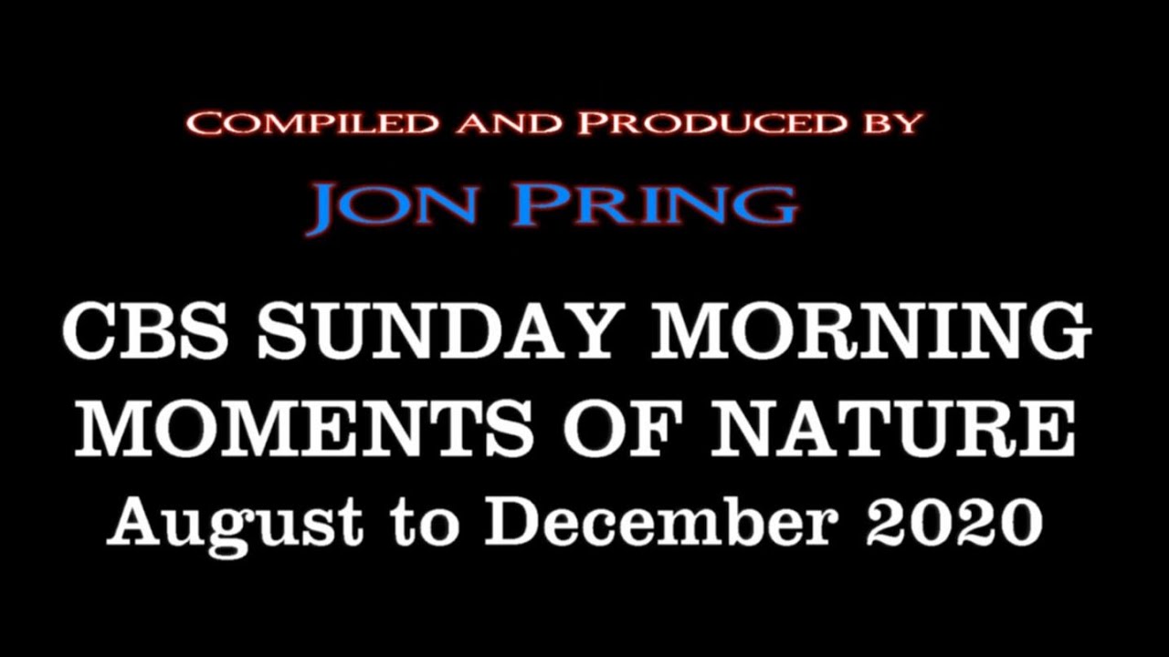 CBS Sunday Morning Moments of Nature Aug-Dec 2020