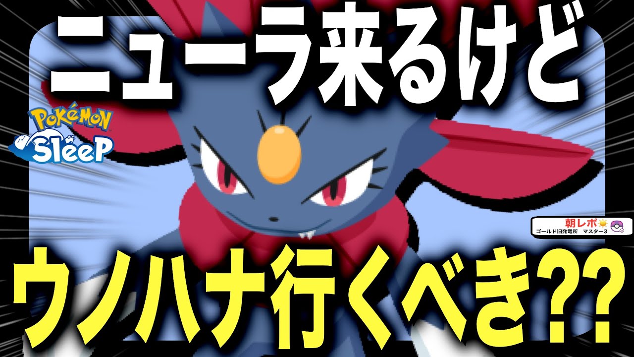 来週どこ行く？何狙いでウノハナに行くか考えよう！【ポケモンスリープ】