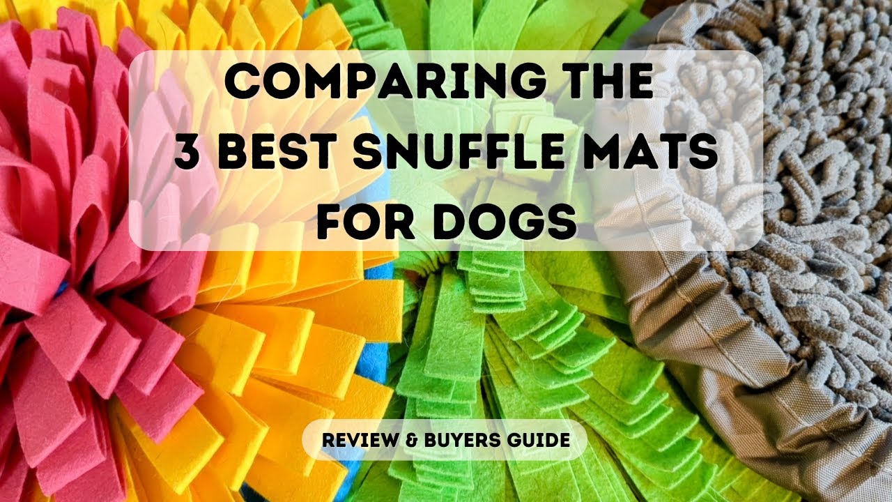 Comparing 3 Best Snuffle Mats for Dogs | Snuffle Mat Review & Buyer’s Guide