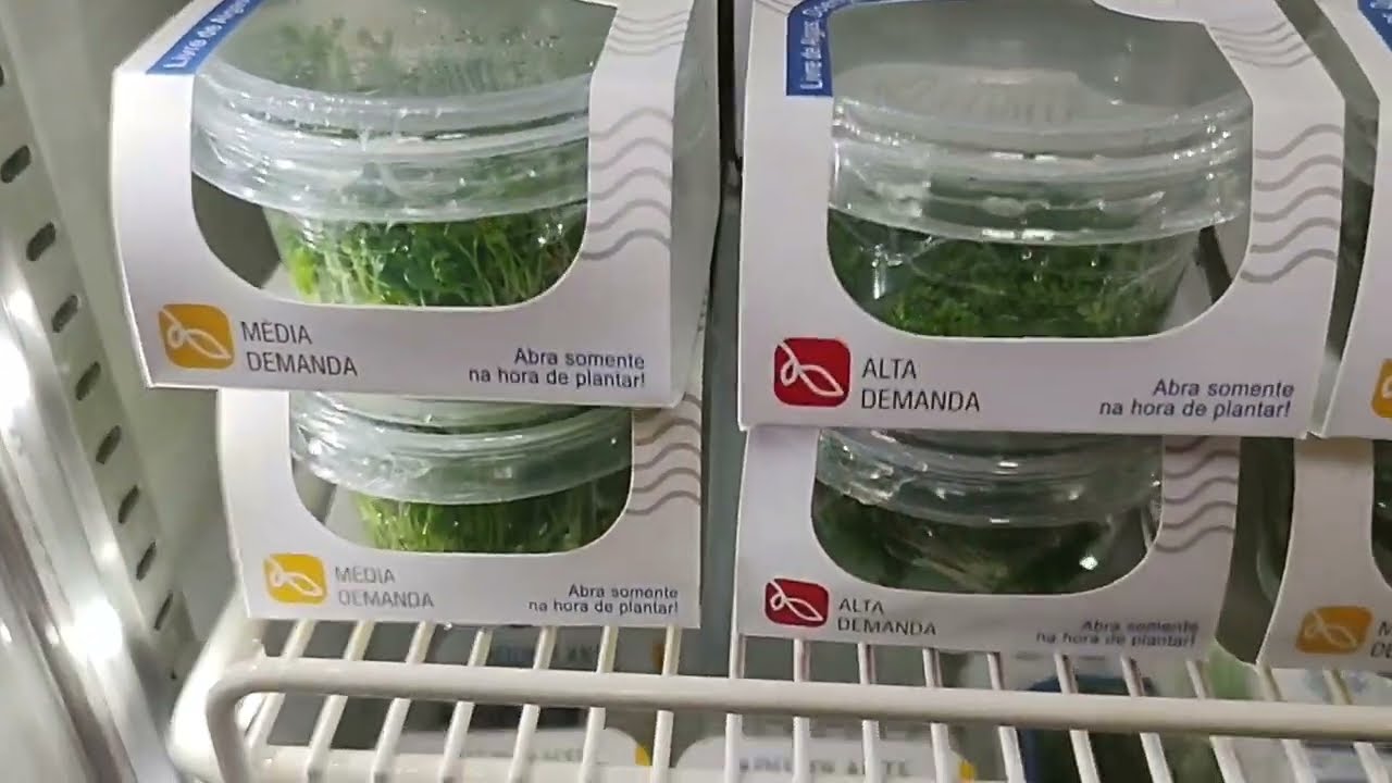 Plantas para aquário e aquapaisagismo com muita qualidade e preços diferenciados. AQUAPLANTE.