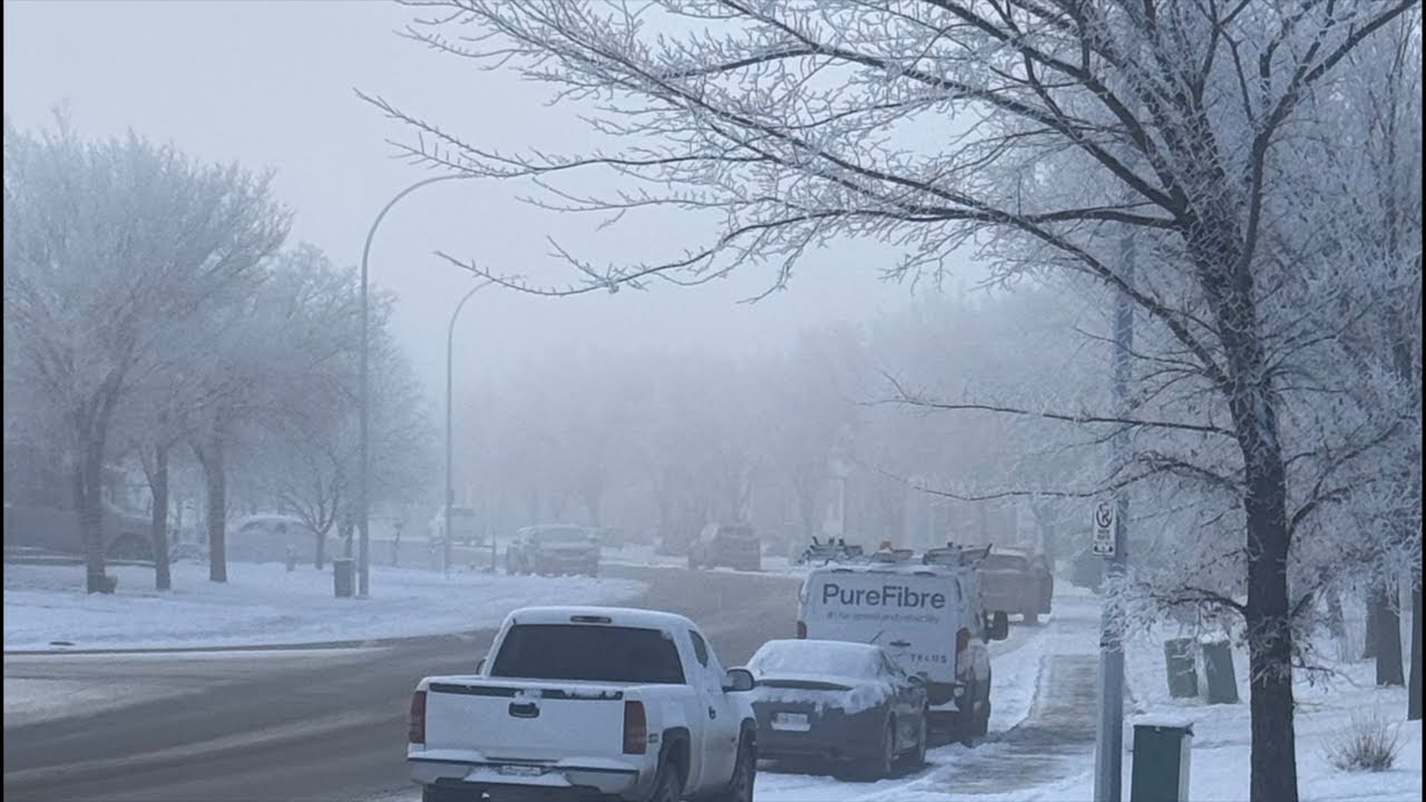 DITH Macanip🌴🍁 is live!Morning🤗