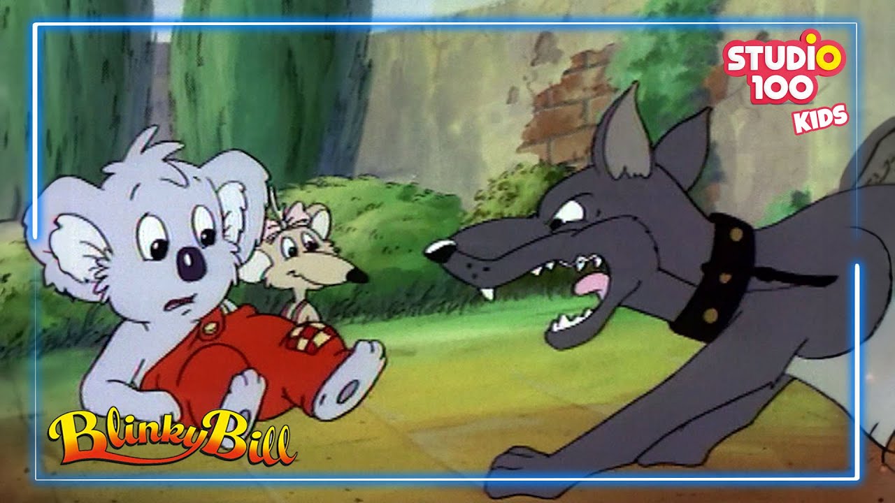 Dumme Sprüche - Blinky Bill🐼🍃 - Studio100 KIDS