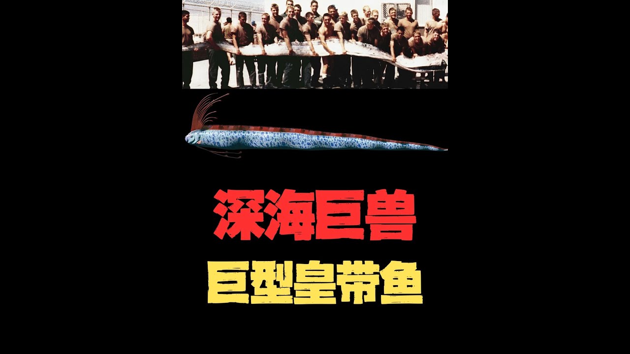 為什么深海的極端環境，卻能孕育出大量的巨型怪物？