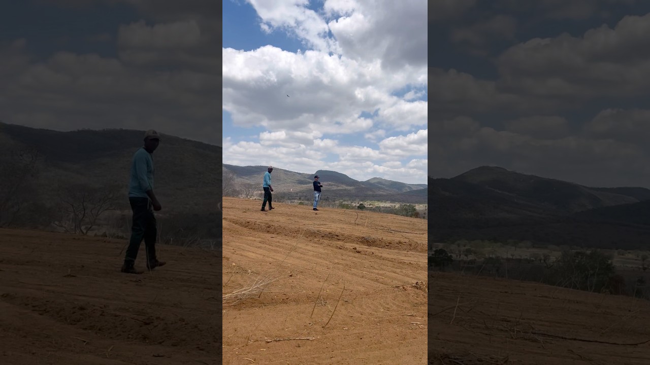 Landscapes of the Brazilian northeastern hinterland 