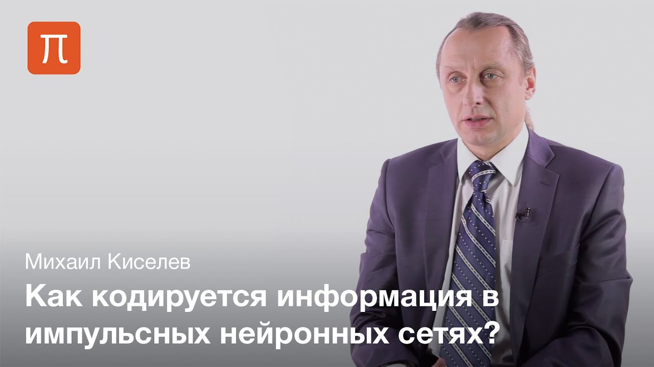 Самоорганизация импульсных нейронных сетей — Михаил Киселев