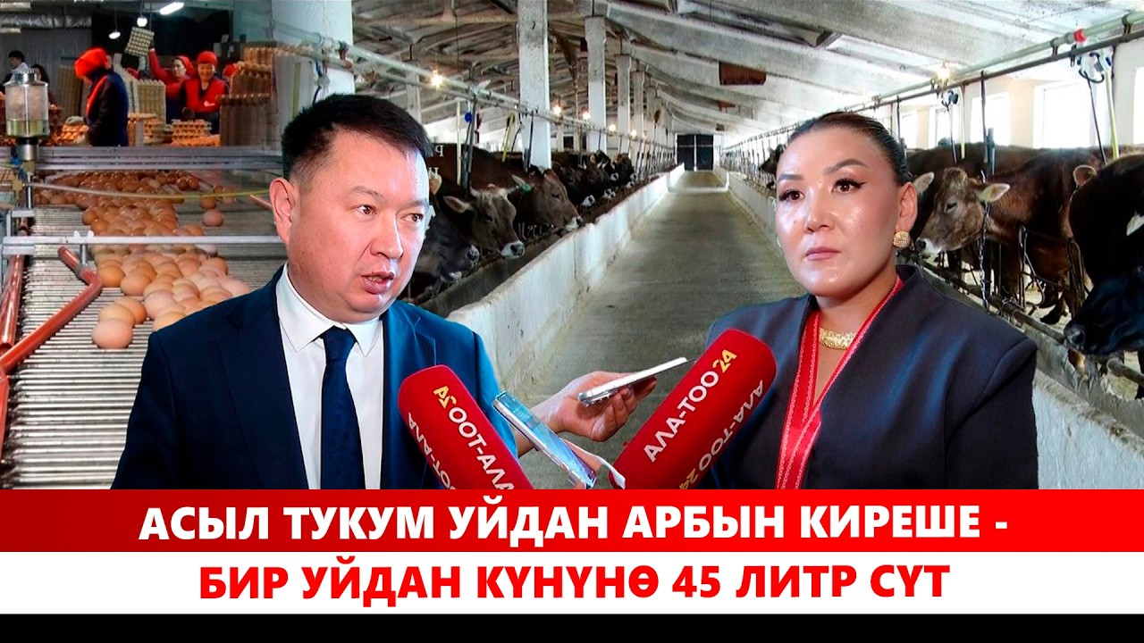 Агродиалог: Малдын туягын санабай, сапатка көңүл буралы
