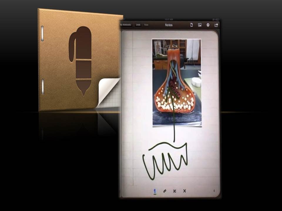 Educational App Tutorial: Penultimate (Digital Handwritten Notes)
