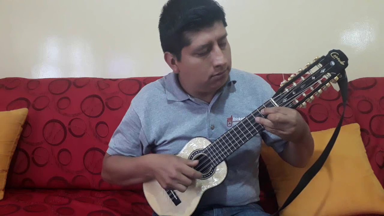 LA POLLERA COLORADA / MI CAFETAL (ADAPTACIÓN A CHARANGO)