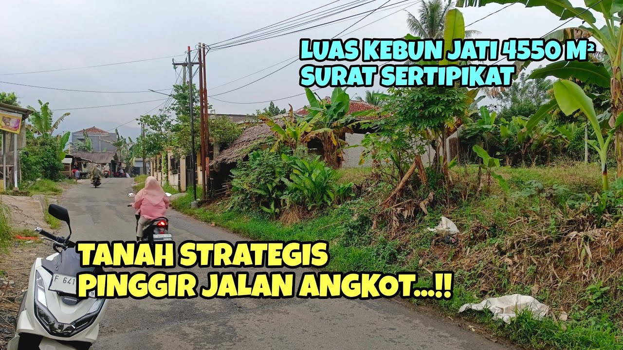 🛑TURUN HARGA⁉️ DI JUAL TANAH KEBUN JATI LOKASI STRATEGIS‼️Luas 4550 M² SHM Harga 1, 2 Milyar nego.