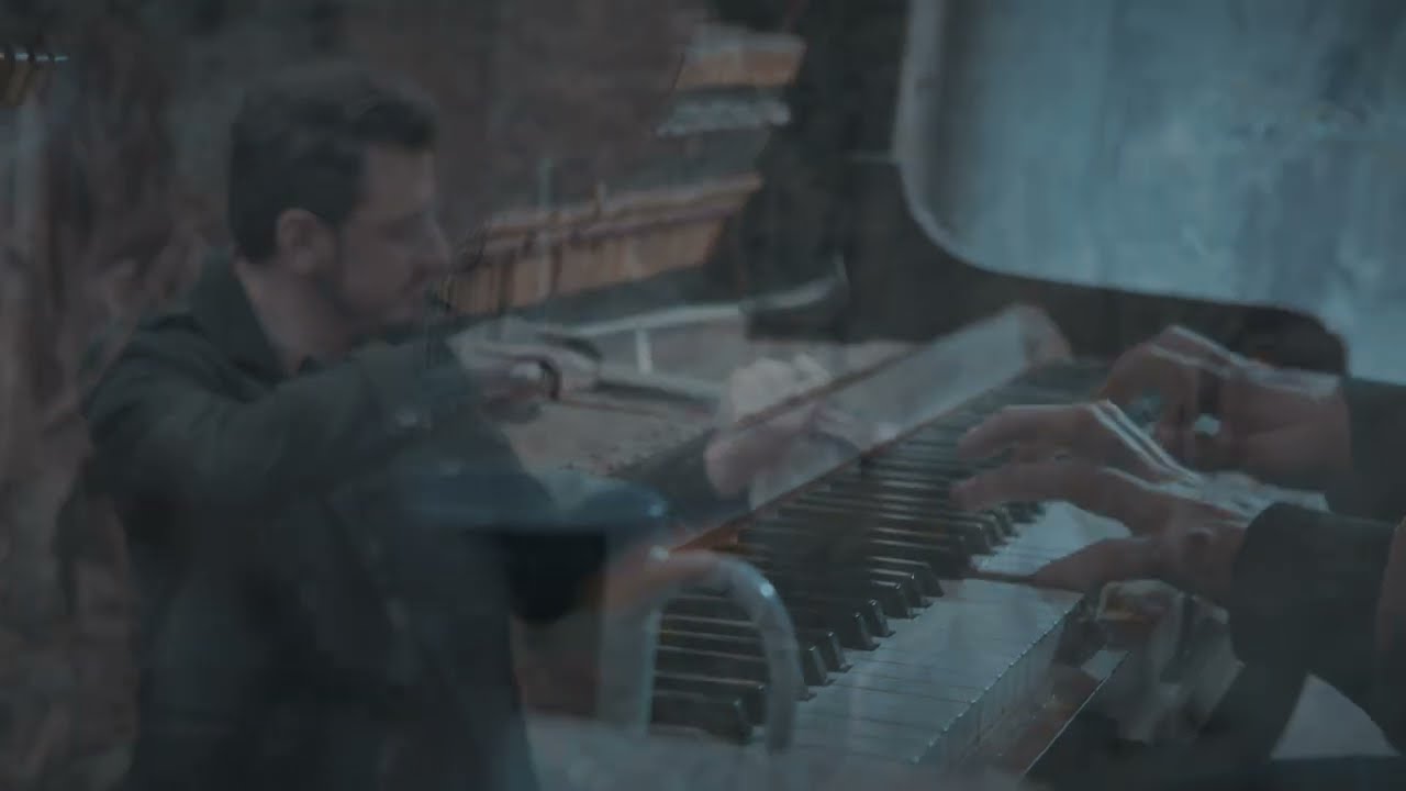 Lebensessenz - Araukarien (Ft. M. Borgonhoni)