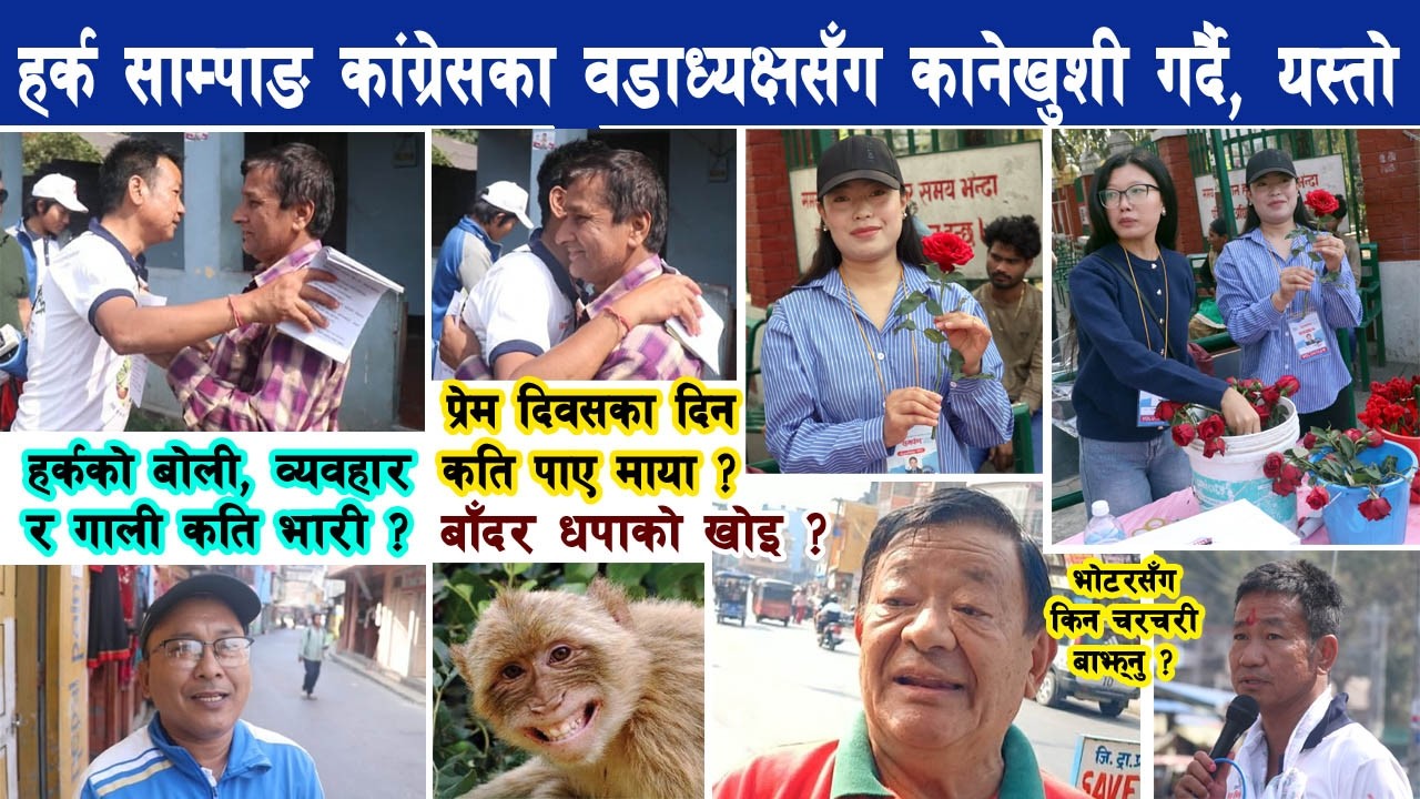 हर्क साम्पाङ कांग्रेसका वडाध्यक्षसँग कानेखुशी गर्दै, कतिले दिए माया ? Harka Sampang
