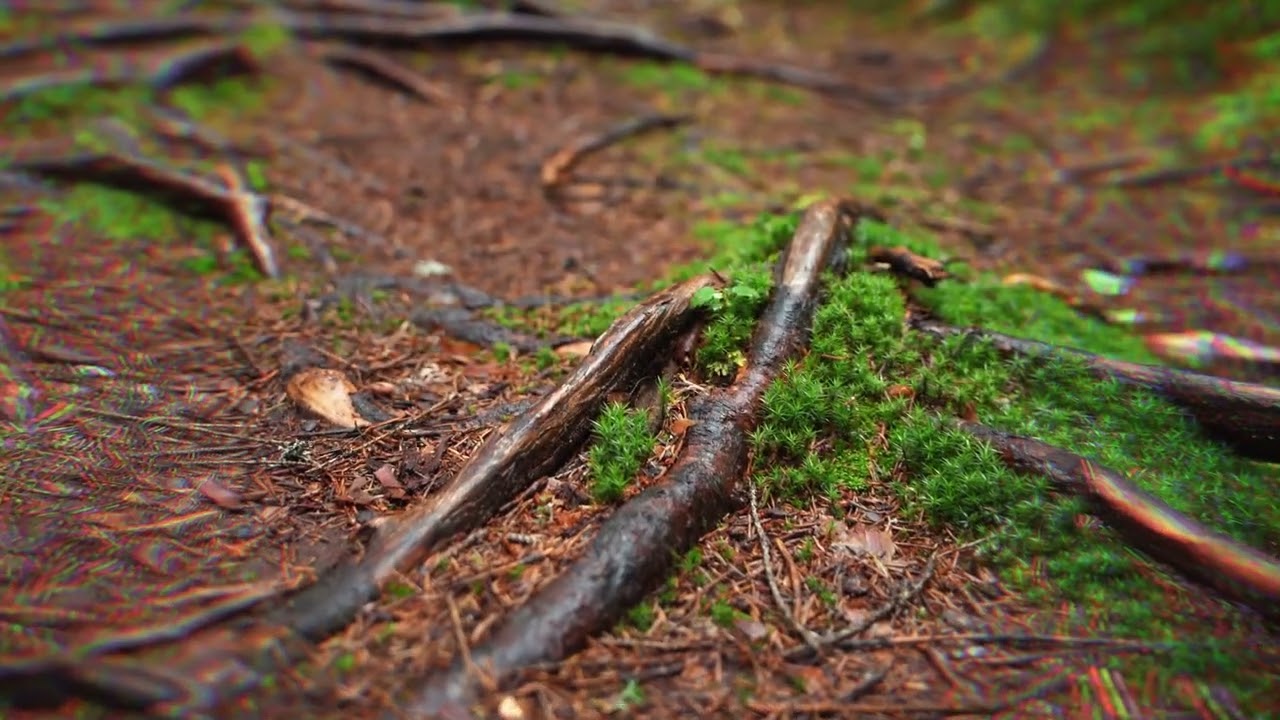 Telling Your Life Story to the Land