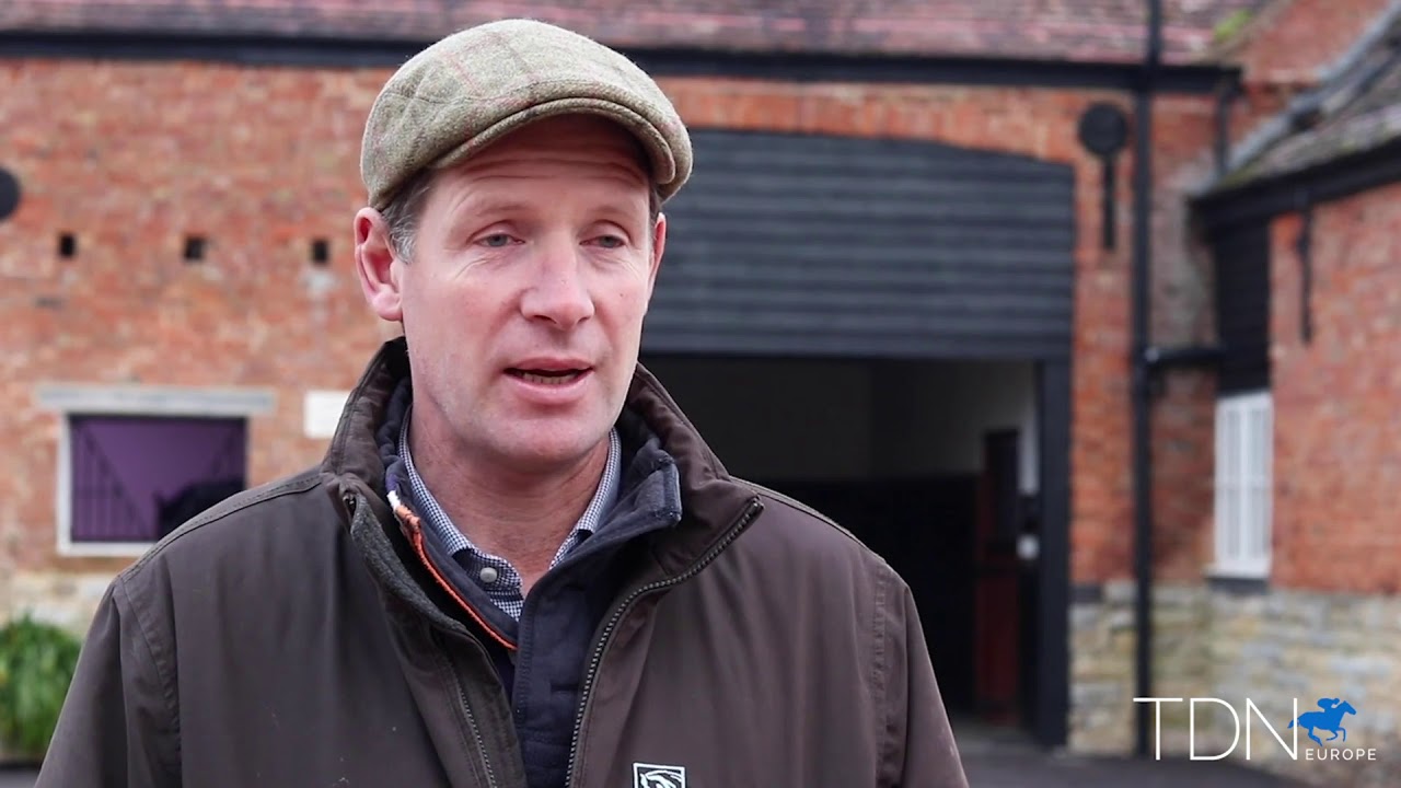 Australian Sensation Zoustar New to Tweenhills