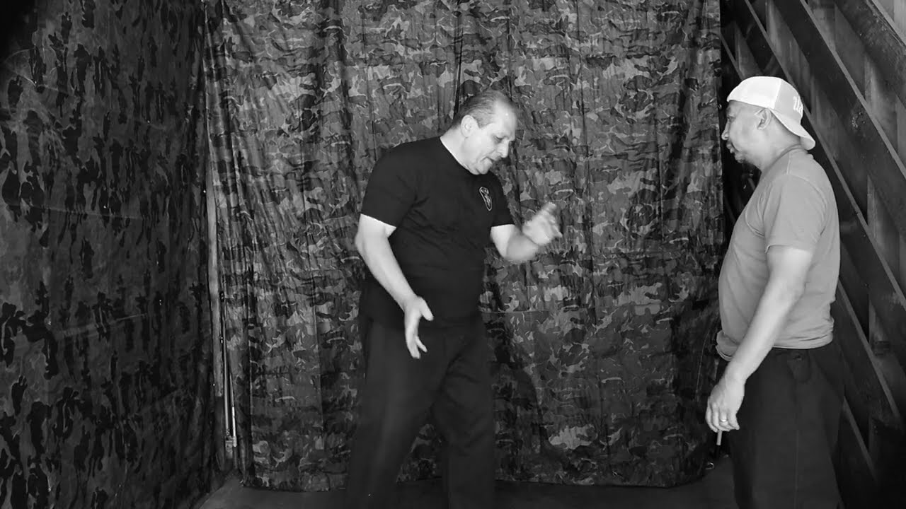 Te-Kempo-Jiujitsu, Sensei Mike Pecina & Glenn Magas, Hands from kata