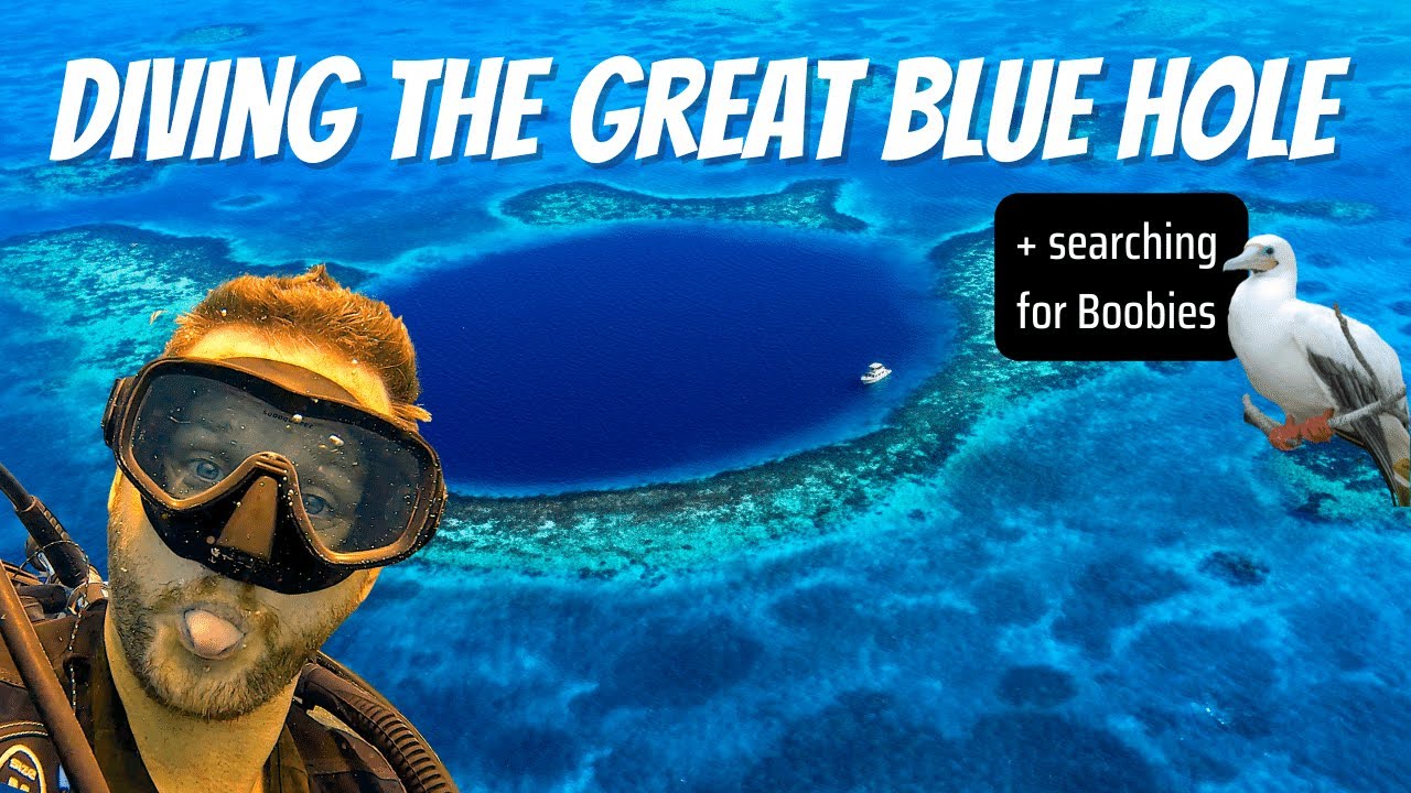 The Great Blue Hole Belize | And The Search For Boobies | Caye Caulker | Belize