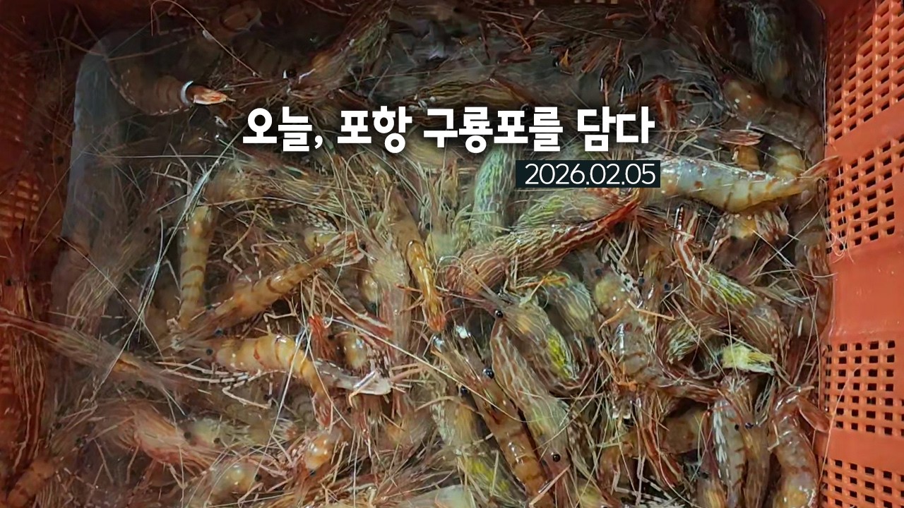 오늘, 포항 구룡포를 담다 2026.02.05